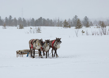 Similar image 21793122