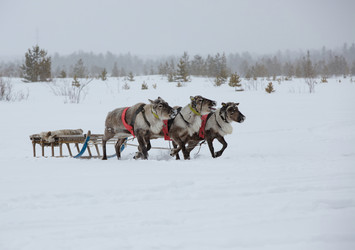 Similar image 21793124