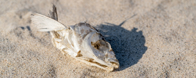 Similar image 21803146