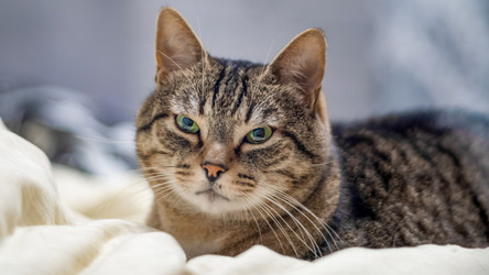 Similar image 21803148