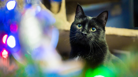 Similar image 21803149