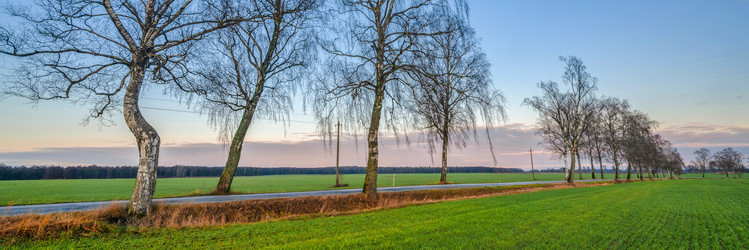 Similar image 21803153