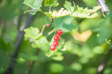 Similar image 21803154