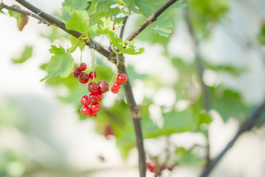 Similar image 21803155