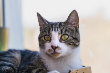 Similar image 21803181