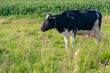 Similar image 21803183