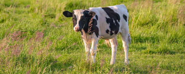 Similar image 21803185