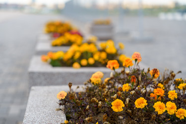 Similar image 21803199