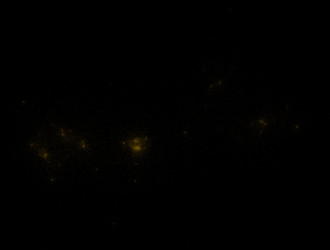 Similar image 21792073