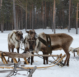 Similar image 21793126