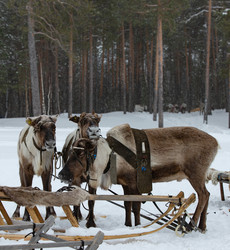 Similar image 21793127