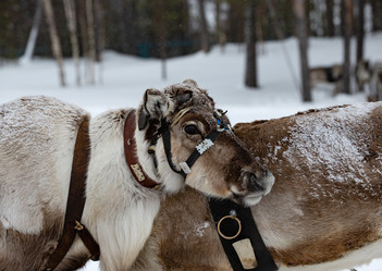 Similar image 21793128