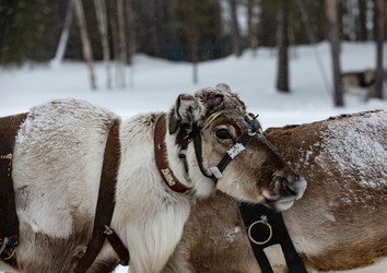 Similar image 21793129