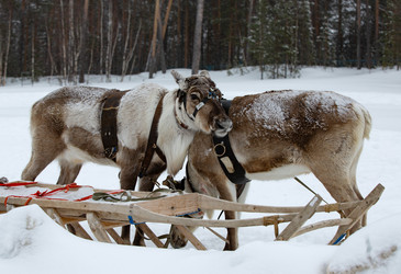 Similar image 21793132