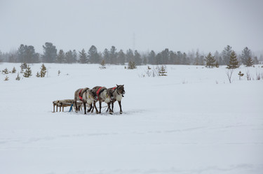 Similar image 21793133