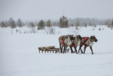 Similar image 21793134