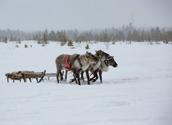 Similar image 21793135