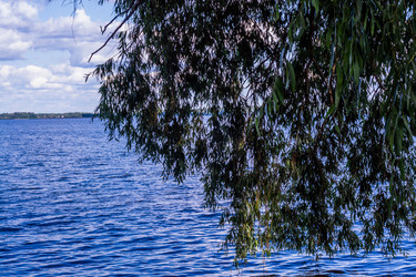 Similar image 21793570