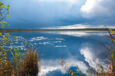 Similar image 21790011