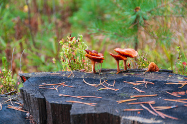 Similar image 21790014