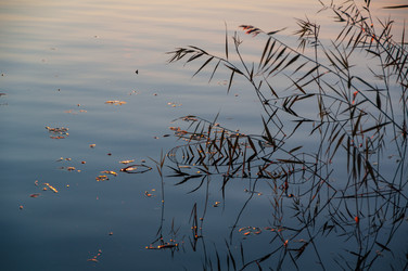 Similar image 21790015