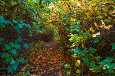 Similar image 21790016