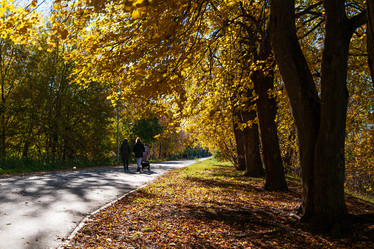 Similar image 21790017