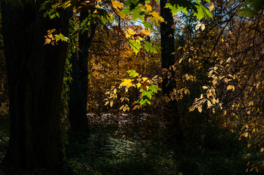 Similar image 21790018