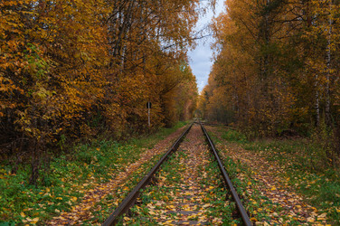 Similar image 21790021