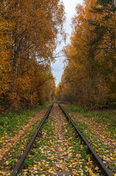 Similar image 21790022