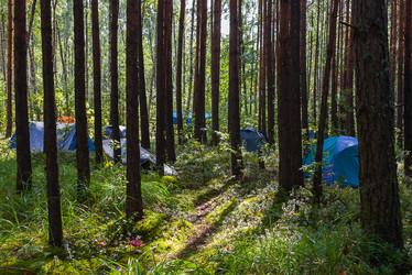 Similar image 21790023