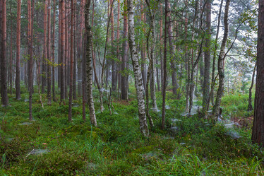 Similar image 21790024