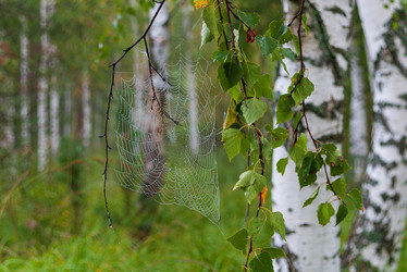 Similar image 21790025