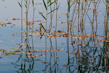 Similar image 21790026