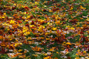 Similar image 21790027