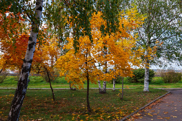 Similar image 21790028