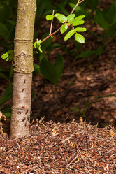 Similar image 21790029