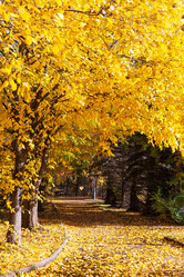 Similar image 21790031