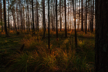 Similar image 21790033