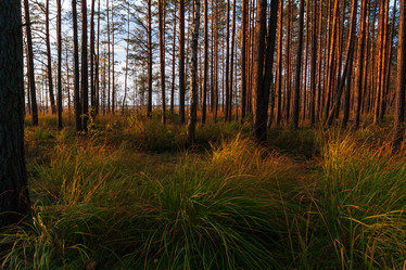 Similar image 21790034