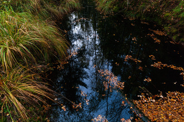 Similar image 21790035