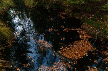 Similar image 21790036