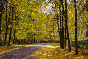 Similar image 21790037