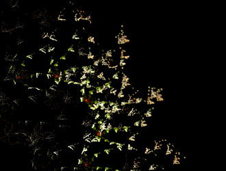 Similar image 21791565