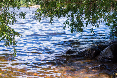 Similar image 21803439