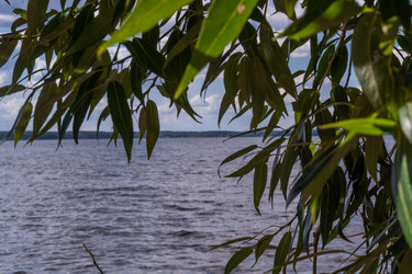 Similar image 21793576