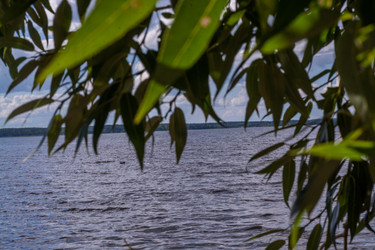 Similar image 21793578