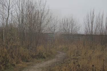 Similar image 21790038