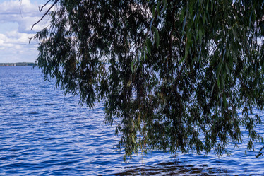 Similar image 21803295