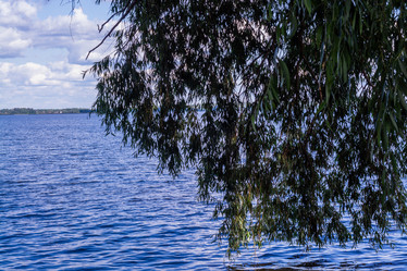 Similar image 21803296